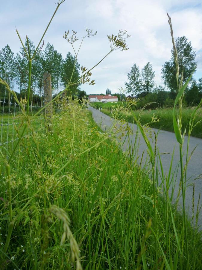 Het Verblijf Sint-Martens-Lennik Exteriör bild