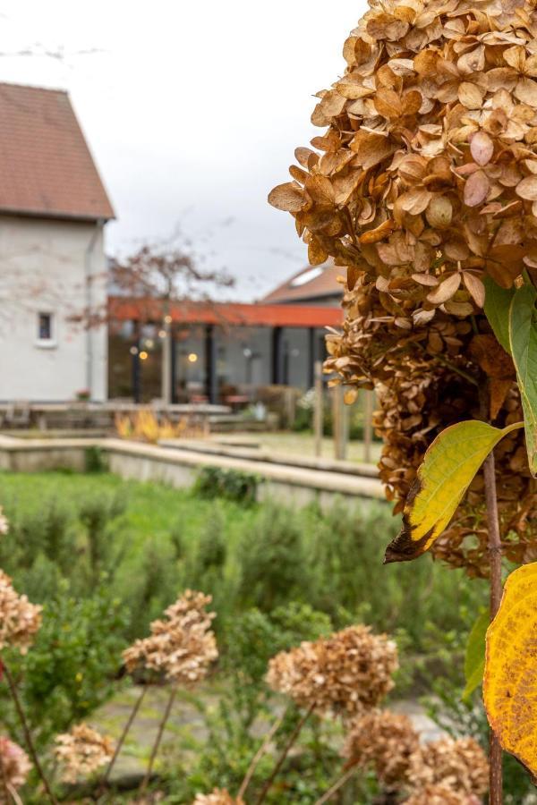 Het Verblijf Sint-Martens-Lennik Exteriör bild