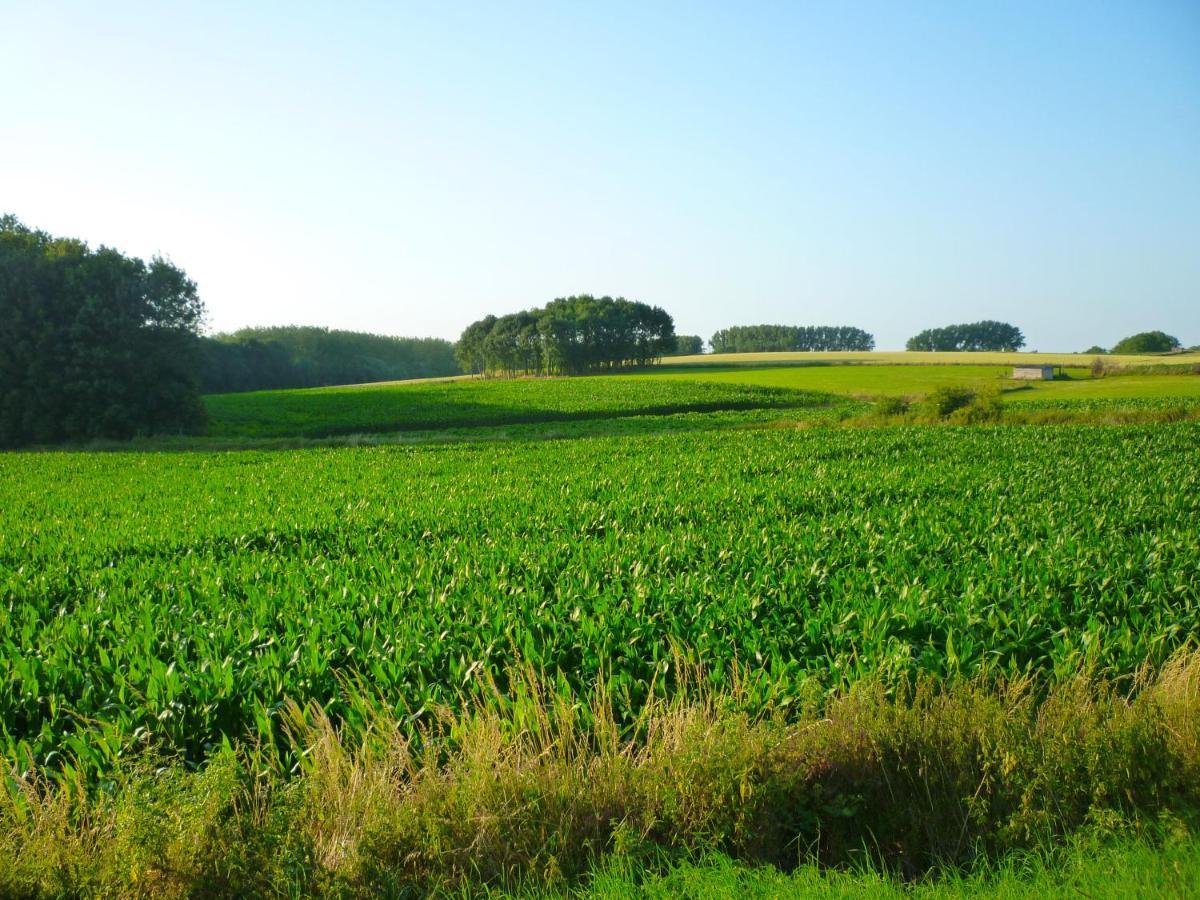 Het Verblijf Sint-Martens-Lennik Exteriör bild